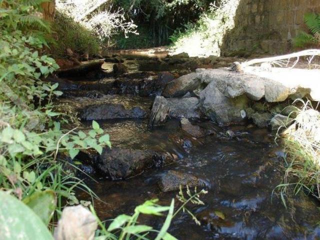 Sítio e chácara venda em Região Geográfica Imediata de Governador Valadares, Governador Valadares