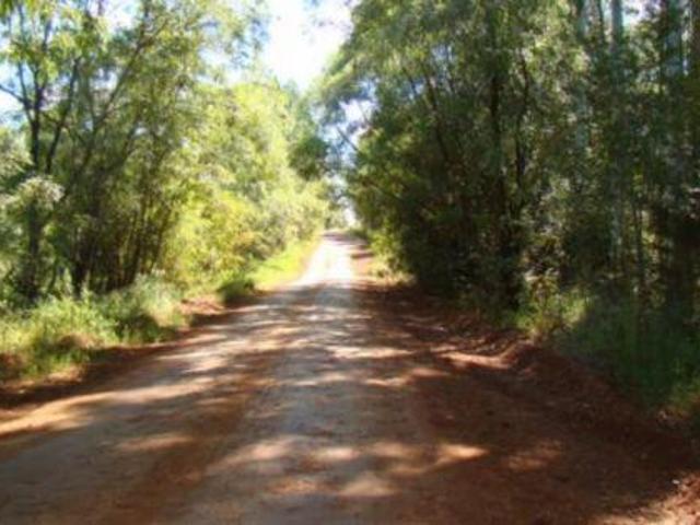 Sítio e chácara venda em Região Geográfica Imediata de Porto Alegre, Região Metropolitana de Porto Alegre