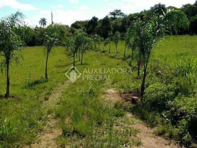 Sítio e chácara venda em Jati, Região Nordeste