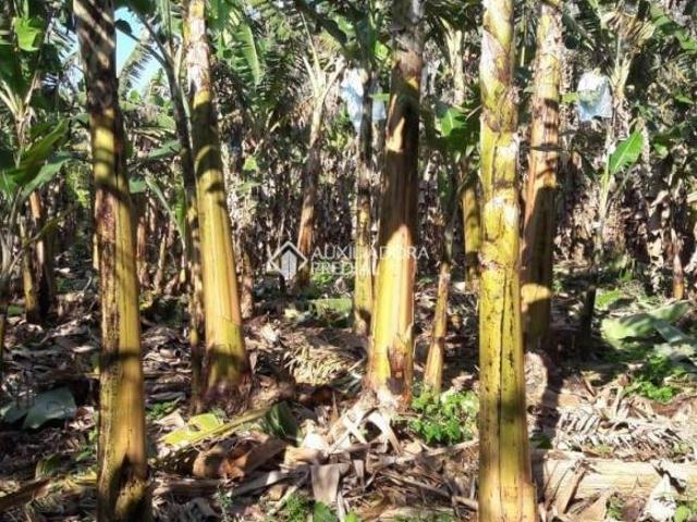 Sítio e chácara venda em Costão, Morrinhos do Sul