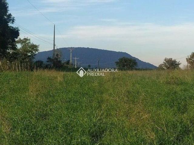 Sítio e chácara venda em Costão, Estrela