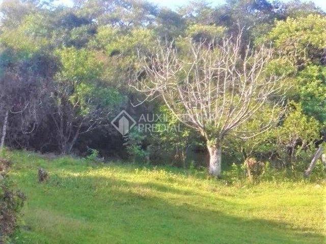 Sítio e chácara venda em Região Geográfica Imediata de Porto Alegre, Região Metropolitana de Porto Alegre