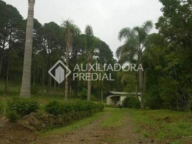 Sítio e chácara venda em Região Geográfica Imediata de Novo Hamburgo - São Leopoldo, Morro Reuter