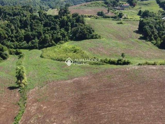 Sítio e chácara venda em Região Geográfica Imediata de Lajeado, Estrela
