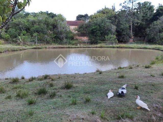 Sítio e chácara venda em Região Geográfica Imediata de Porto Alegre, Região Metropolitana de Porto Alegre
