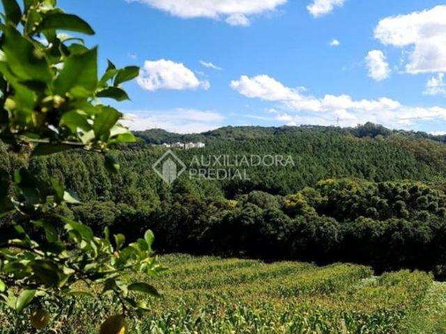 Sítio e chácara venda em Região Geográfica Imediata de Caxias do Sul, Caxias do Sul