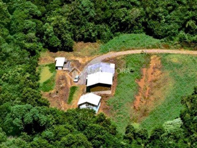 Sítio e chácara venda em Região Geográfica Imediata de Caxias do Sul, Caxias do Sul