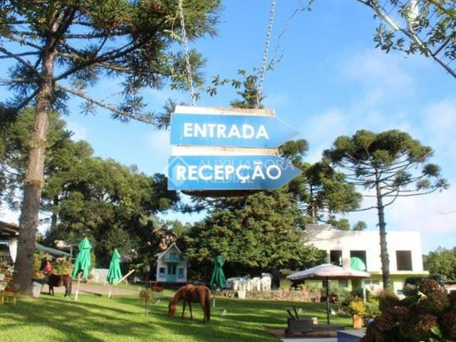 Sítio e chácara venda em Região Geográfica Imediata de Novo Hamburgo - São Leopoldo, Morro Reuter