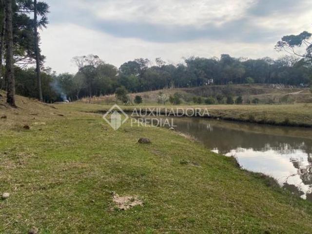 Sítio e chácara venda em Região Geográfica Imediata de Caxias do Sul, Canela