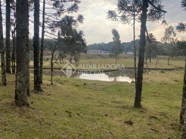 Sítio e chácara venda em Região Geográfica Imediata de Caxias do Sul, Canela
