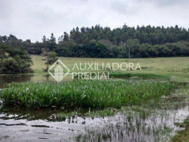 Sítio e chácara venda em Orieta, Viamão