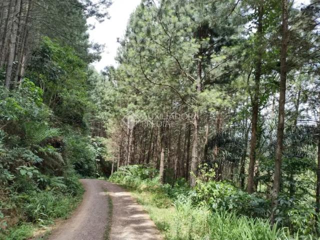 Fazenda venda em Região Geográfica Imediata de Caxias do Sul, Gramado