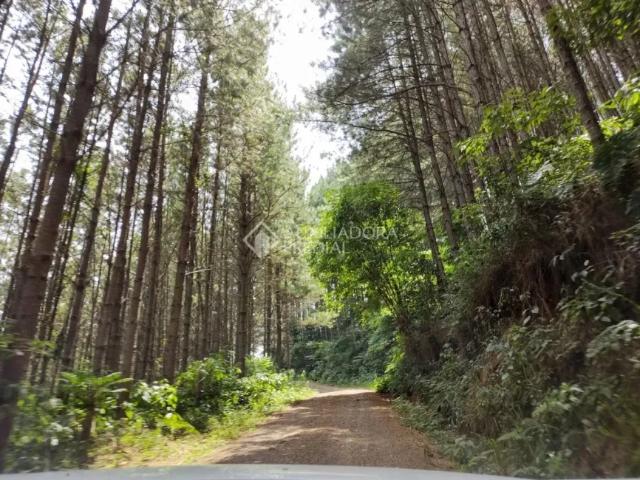 Fazenda venda em Região Geográfica Imediata de Caxias do Sul, Gramado