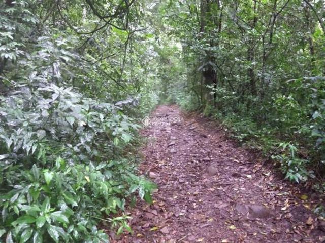 Sítio e chácara venda em Região Geográfica Imediata de Caxias do Sul, Nova Petrópolis