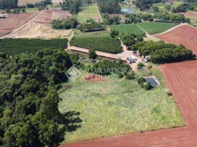 Sítio e chácara venda em Região Geográfica Imediata de Lajeado, Fazenda Vilanova