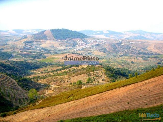 Terreno venda em Freixo Espada À Cinta, Bragança