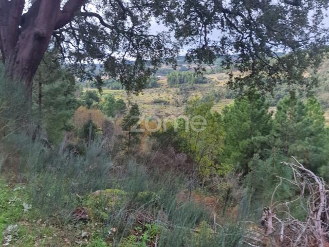 Terreno venda em Castorigo, Alijó