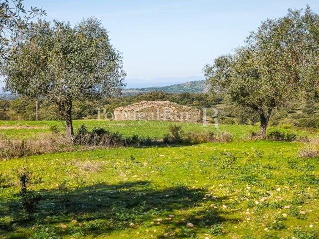 Vivenda venda em Castelo Branco, Idanha-a-nova