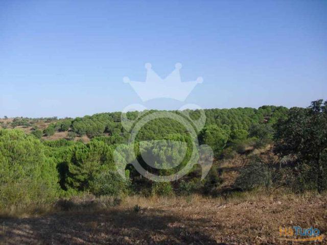 Terreno venda em Serpa, Beja
