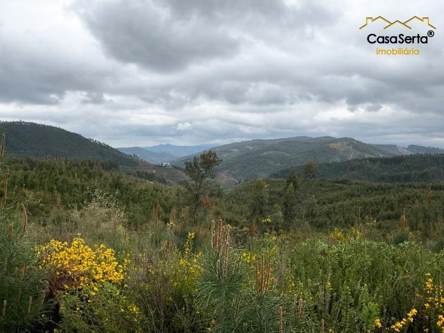 Terreno venda em Castelo Branco, Cumeada