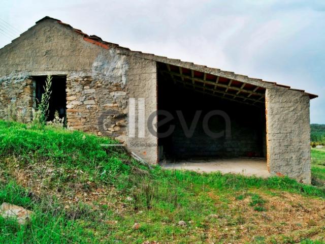 Terreno venda em Castelo Branco