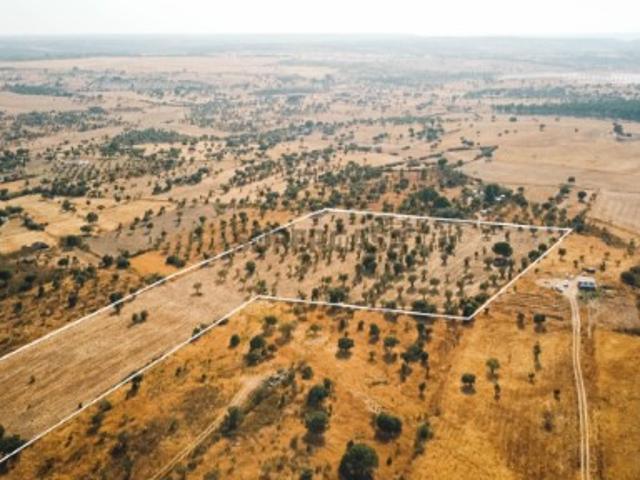 Terreno venda em Bairro da Cevadeira, Nisa