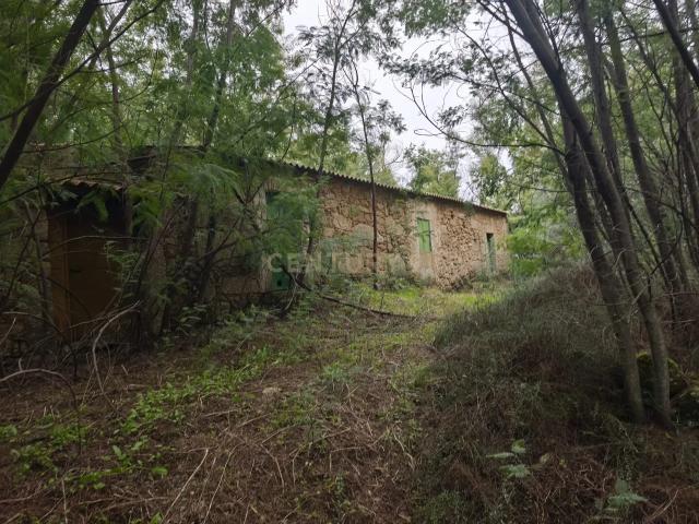 Terreno venda em Castelo Branco, Aldeia Nova Do Cabo