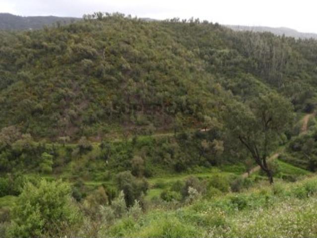 Terreno venda em Monchique, Faro