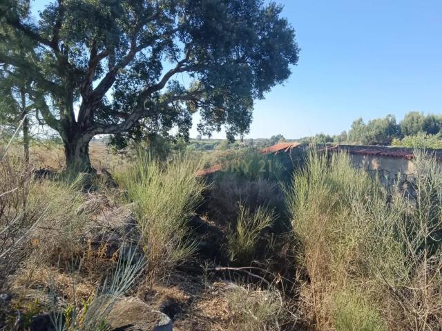 Terreno venda em Escalos de Cima, Castelo Branco