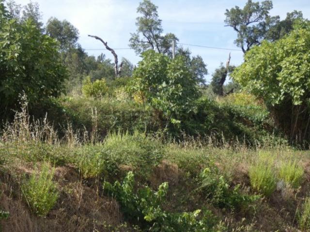Terreno venda em Cabeça de Águia, Monchique