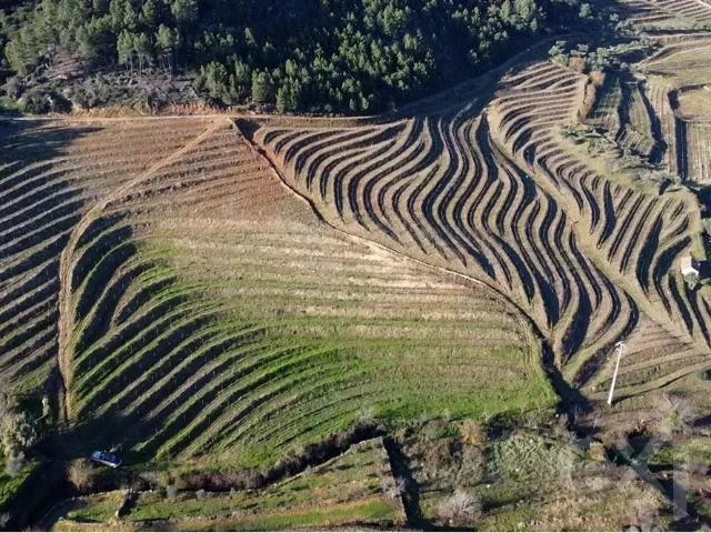 Terreno venda em Alijó, Vila Real