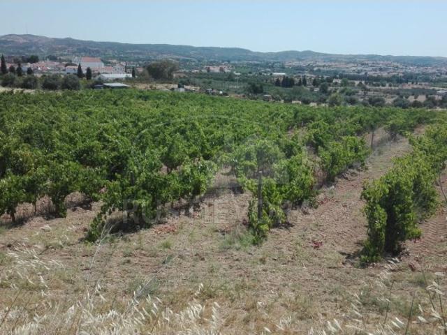 Terreno venda em Vidigueira, Beja