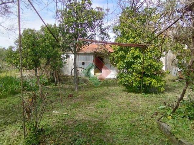 Quinta venda em Ponte De Sor, Portalegre