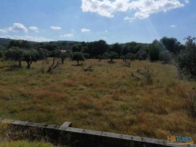 Terreno venda em Portalegre