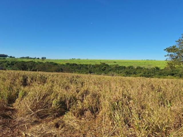 Sítio e chácara venda em Região Imediata de São Paulo, Região Metropolitana de São Paulo