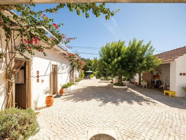 Vivenda venda em Areias e Pias, Ferreira do Zêzere