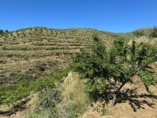 Terreno venda em Guarda, Longroiva