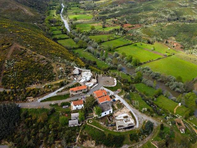 Terreno venda em Castelo Branco, Canhoso
