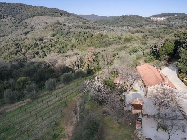 Rustico in vendita a Campiglia Marittima, Toscana