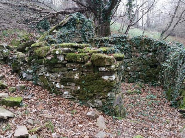 Rustico in vendita a Unione dei Comuni Montani Amiata Grossetana, Santa Fiora
