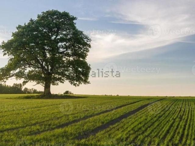 Rustico in vendita a Villanova Di Camposanpiero, Veneto