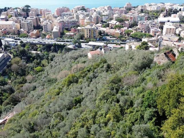 Rustico in vendita a Levante, Serra Riccò