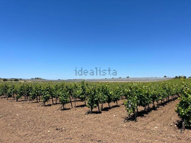 Rustico in vendita a Pachino, Sicilia
