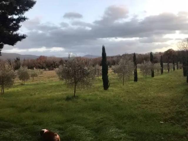Rustico in vendita a Colpetrazzo, Umbria