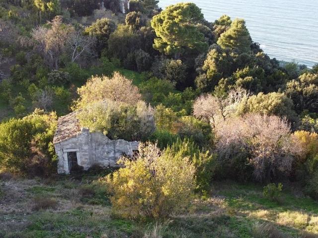 Rustico in vendita a Puglia, Foggia