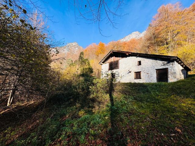 Rustico in vendita a Forni Di Sotto, Friuli-Venezia Giulia