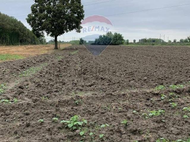 Rustico in vendita a Unione Comuni Modenesi Area Nord, San Felice Sul Panaro