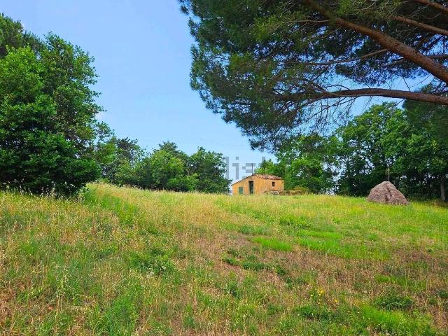 Rustico in vendita a Castellina Marittima, Toscana