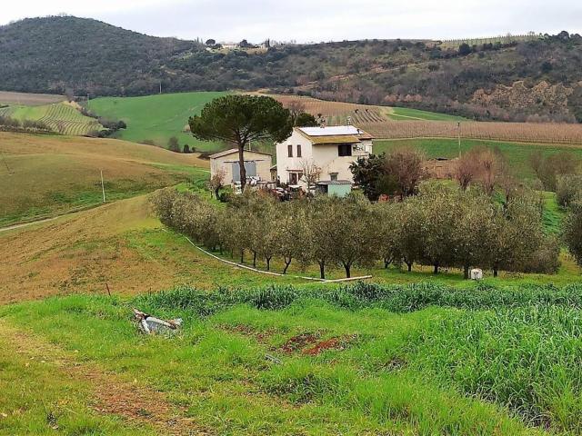 Rustico in vendita a Scansano, Toscana