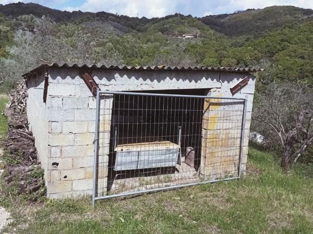 Rustico in vendita a Montevettolini